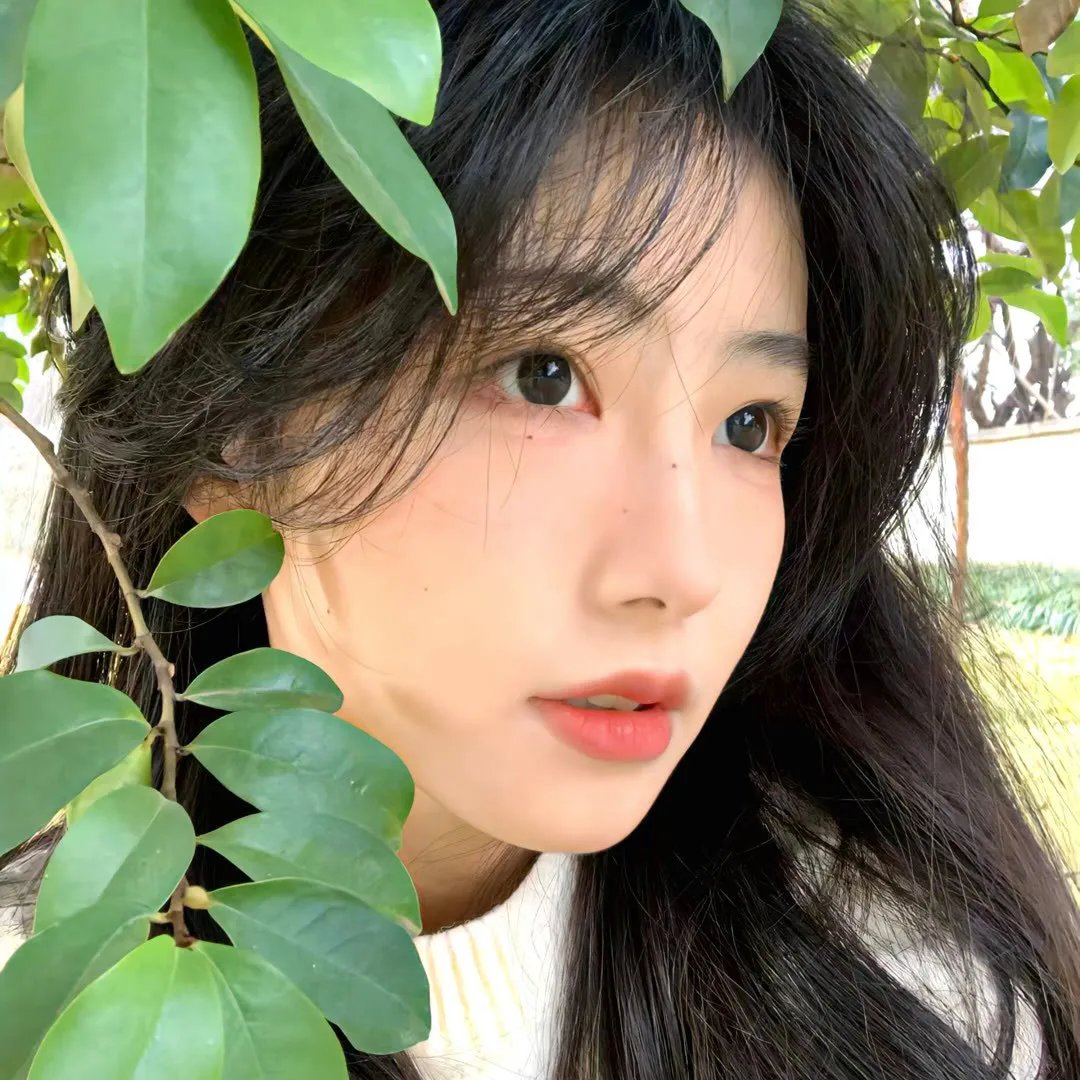 借借妳人生